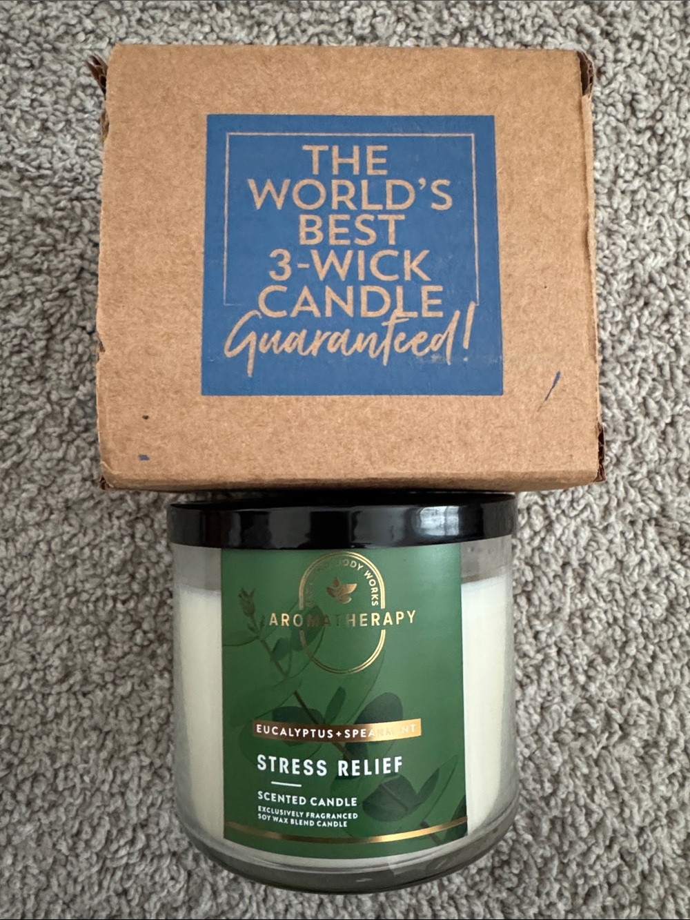 Bath & Body Works Aromatherapy Eucalyptus + Spearmint 3-Wick Candle